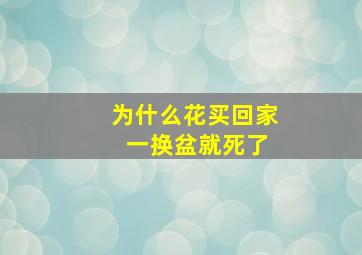 为什么花买回家 一换盆就死了